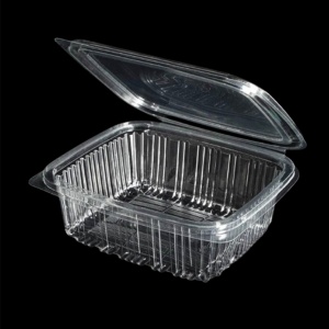 دلی بلند پریما دلی بلند پریما