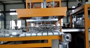 سرمایه لازم برای تولید ظروف یکبار مصرف